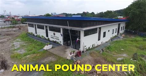 muntinlupa city veterinary office|Office of the City Veterinarian Muntinlupa City .
